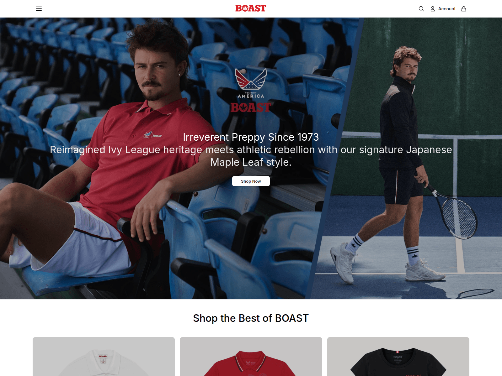 Screenshot of boastco.shop
