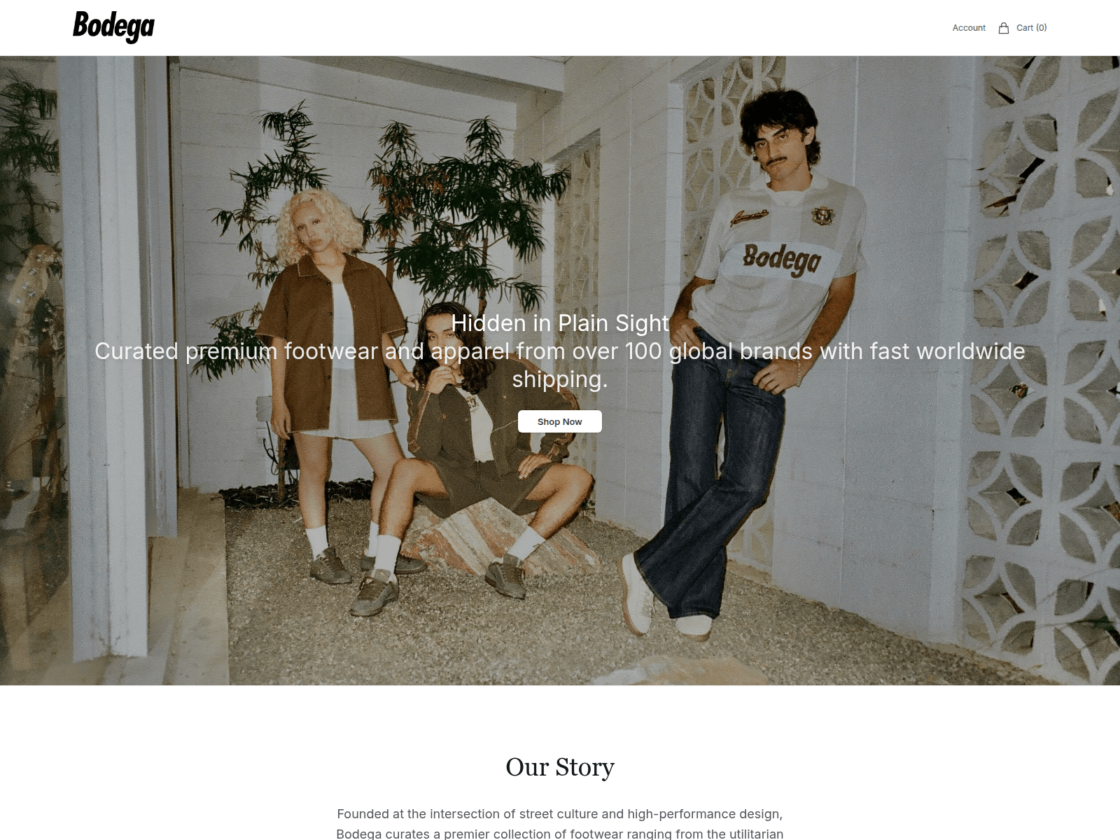 Screenshot of bodegastore.shop