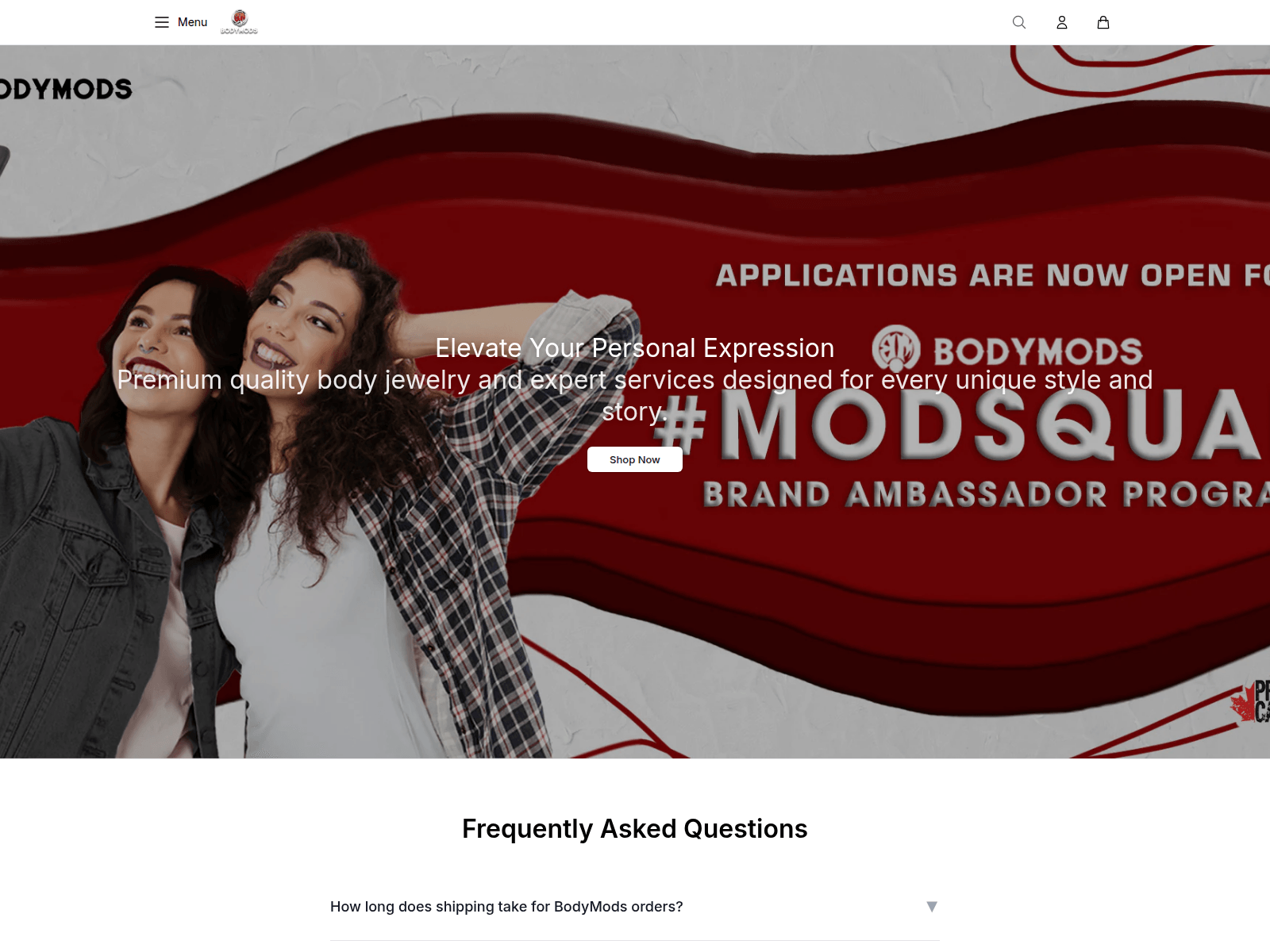 Screenshot of bodymodsjewelry.shop