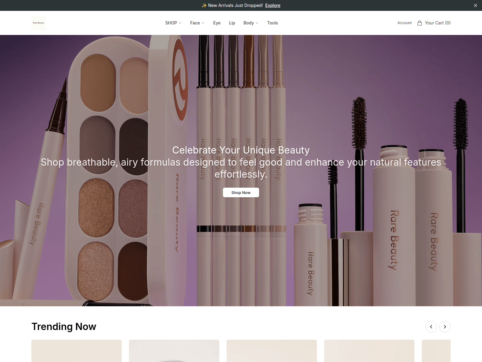 Screenshot of boldcanvas.shop
