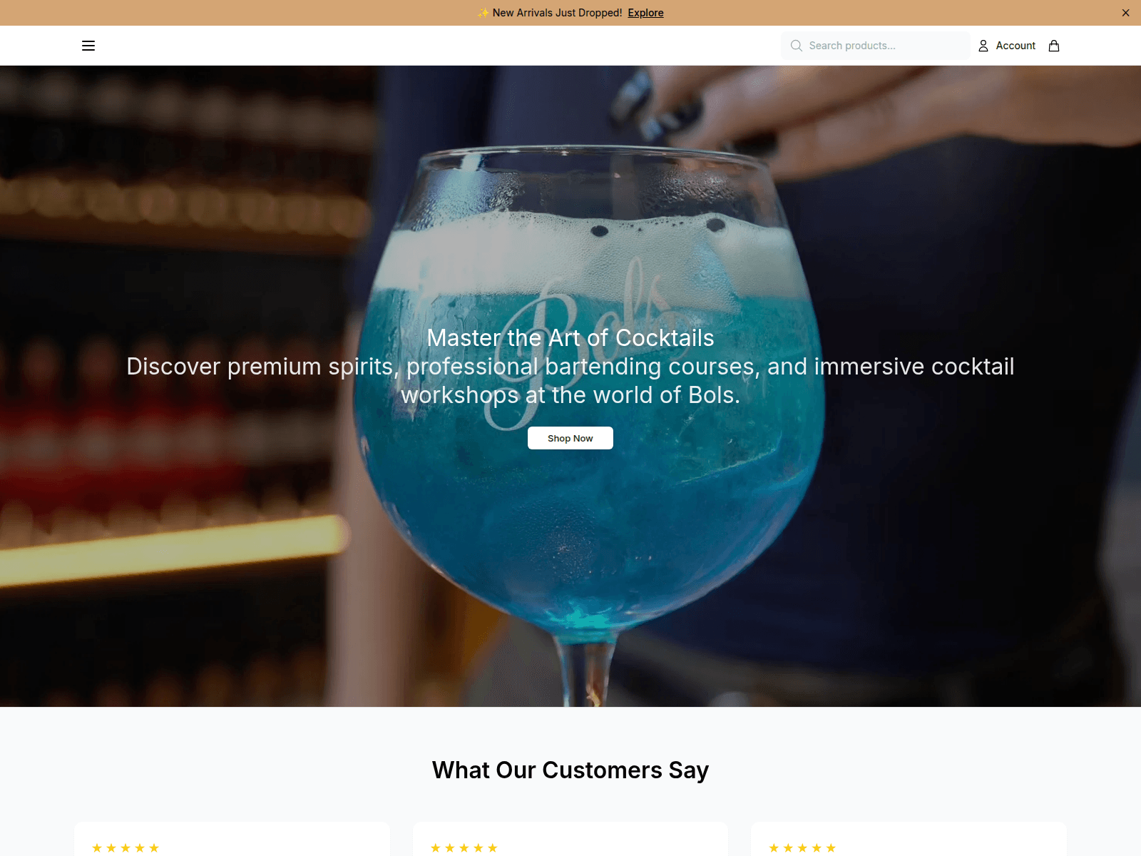 Screenshot of bolsdirect.shop