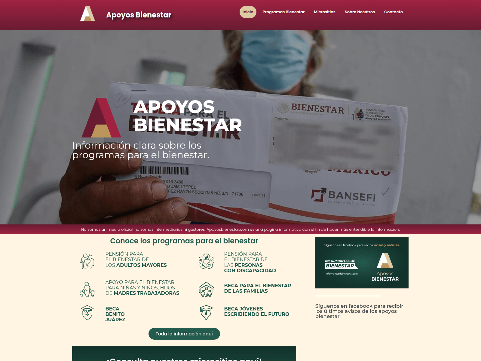 Screenshot of apoyosbienestar.com