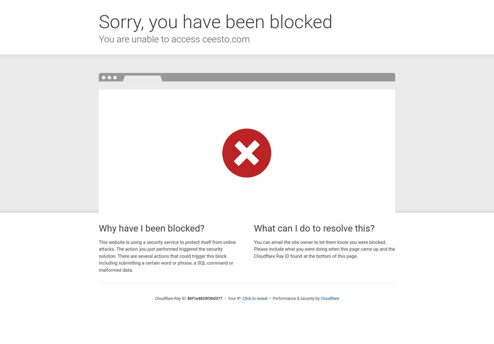 Screenshot of mavia.comapp.ceesto.com