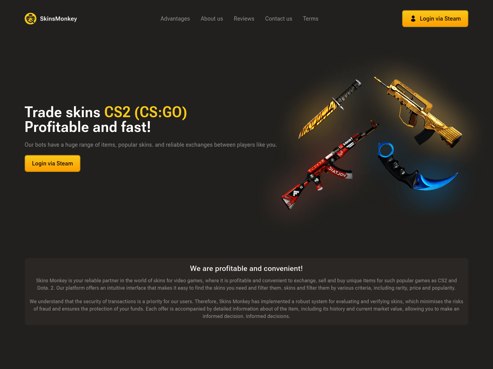 Screenshot of skynsmonkey.com