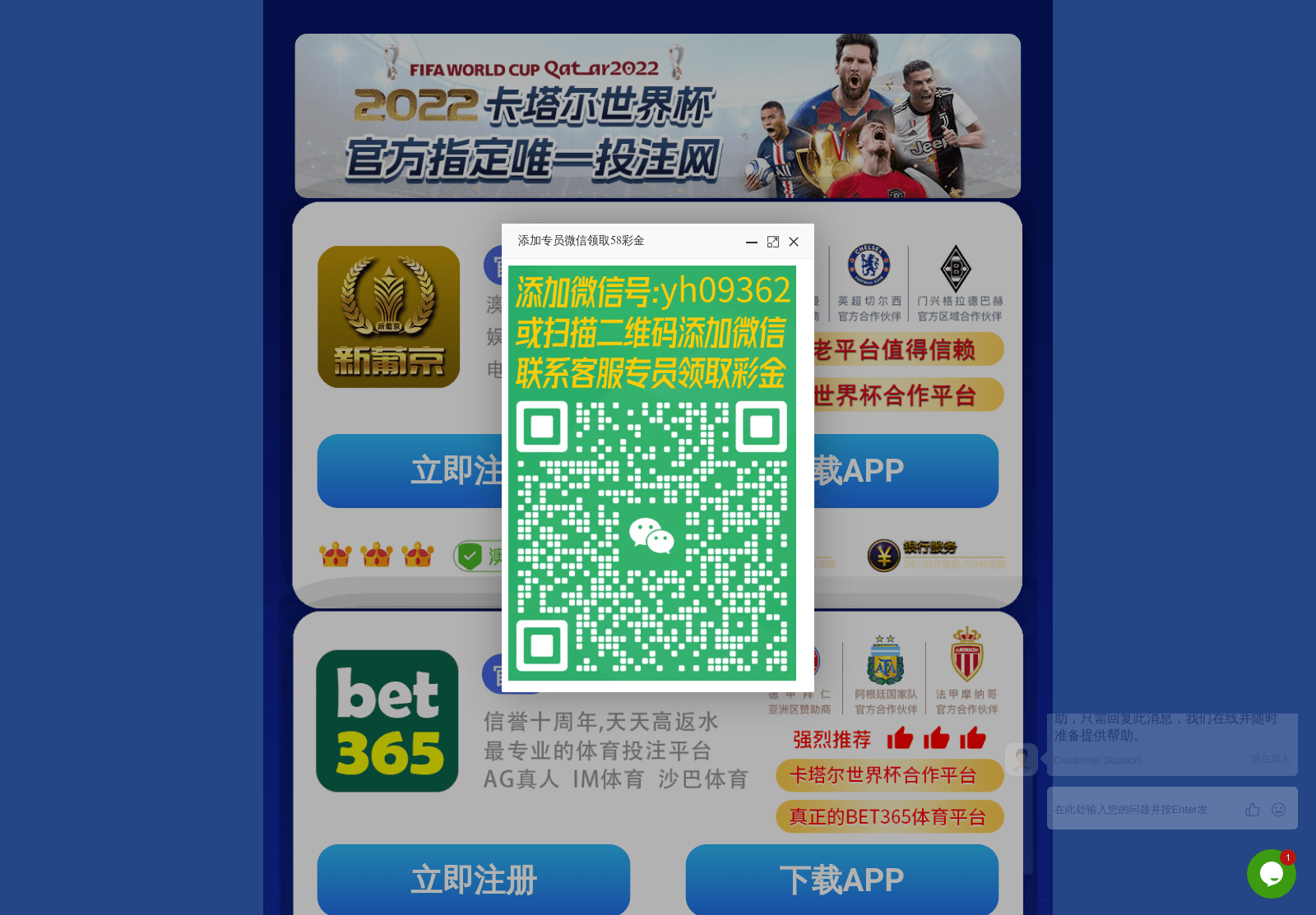 Screenshot of yfc22.net