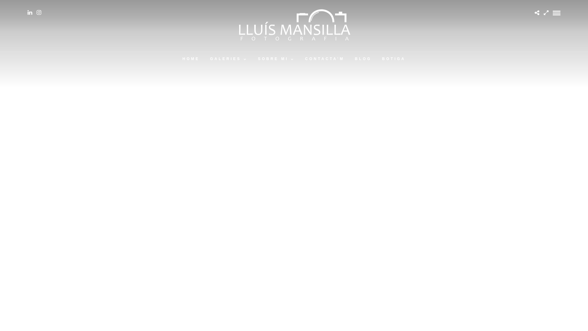Screenshot of lluismansilla.cat
