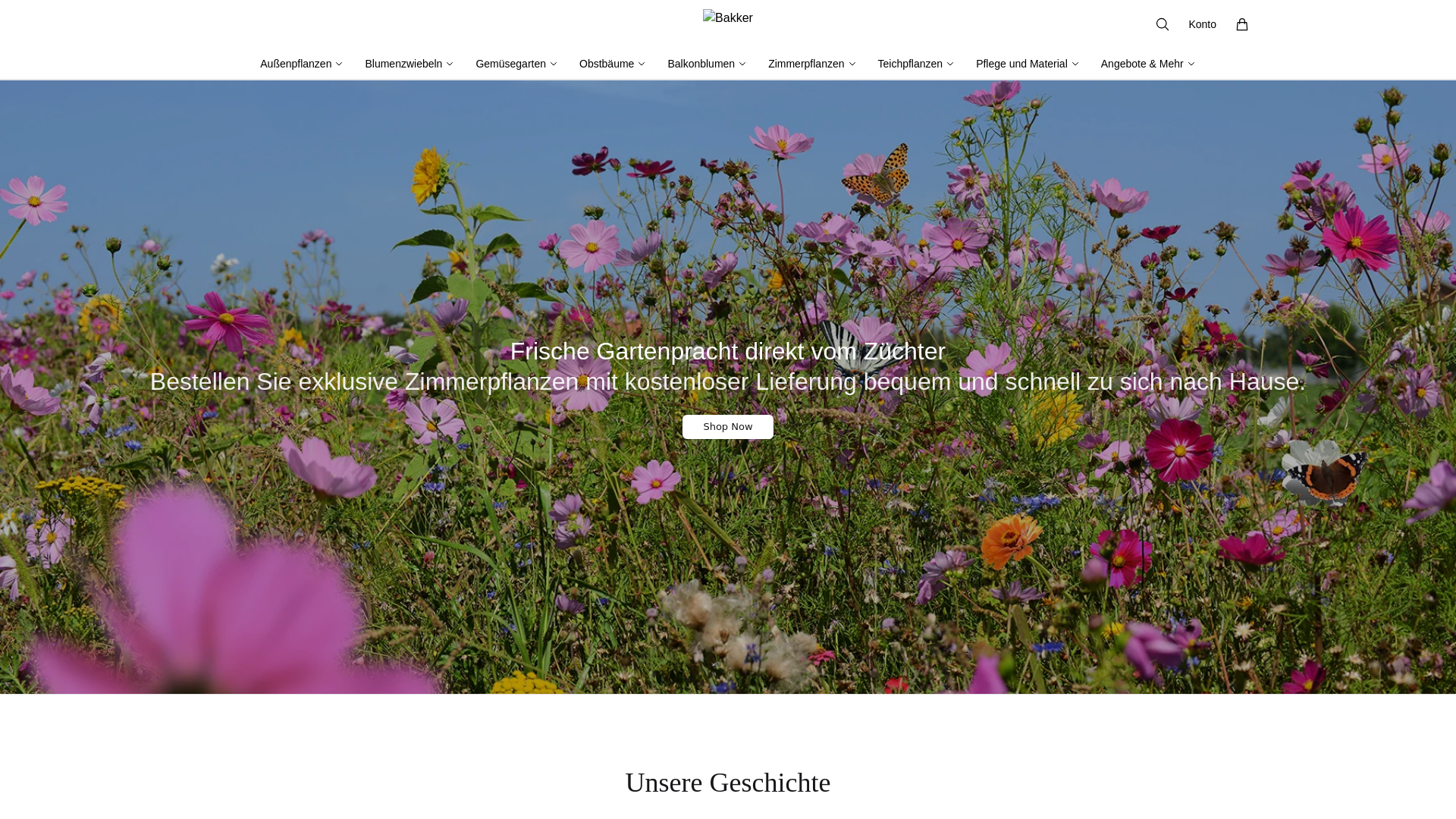 Screenshot of bkker.shop