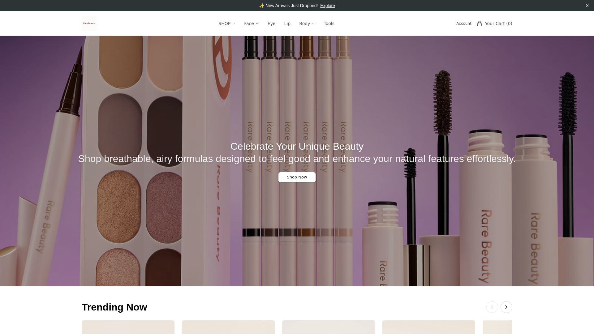 Screenshot of boldcanvas.shop