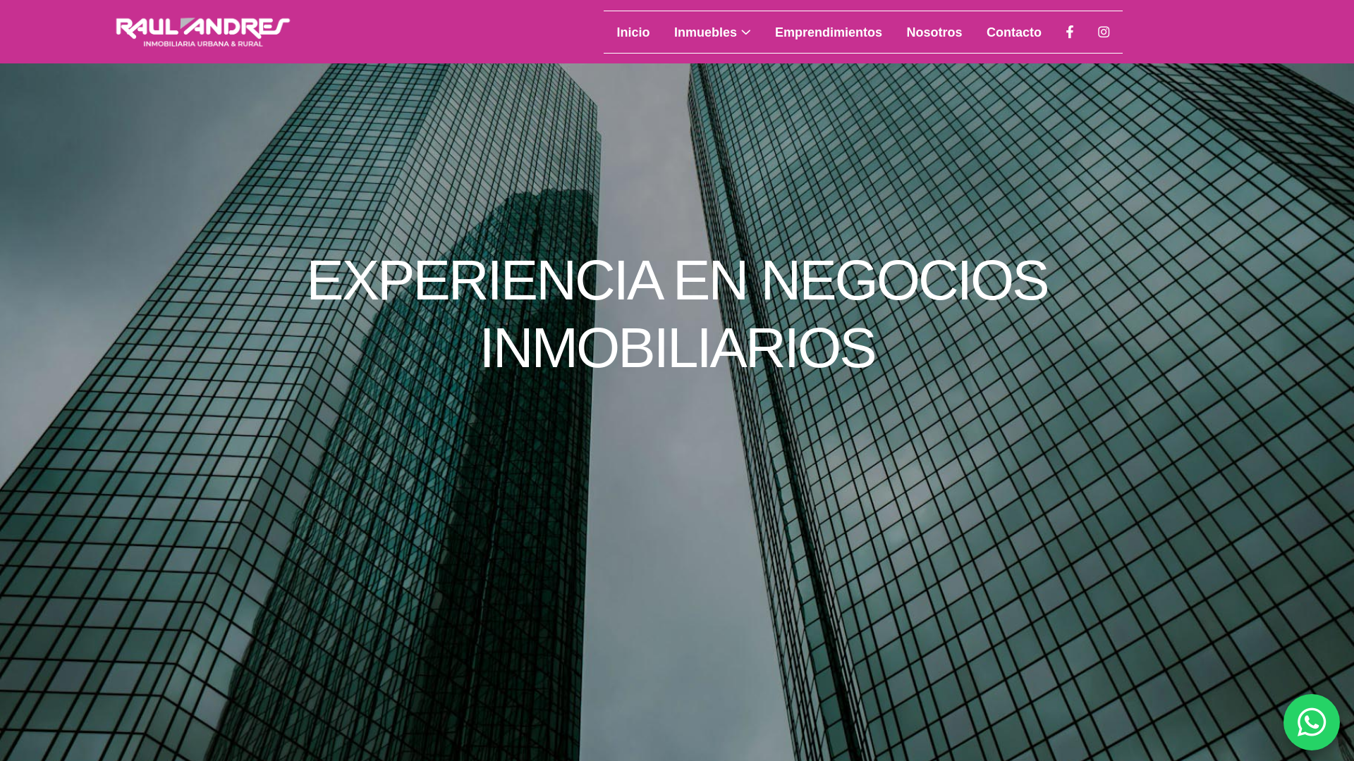 Screenshot of andresinmobiliaria.com.ar