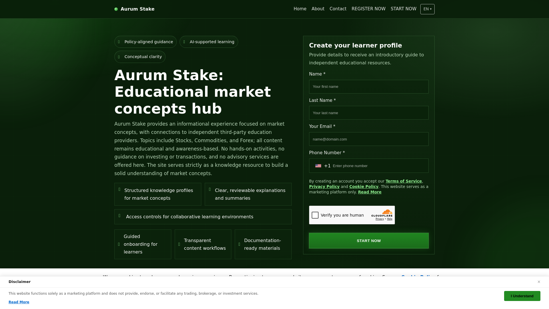 Screenshot of aurumstake-software.com