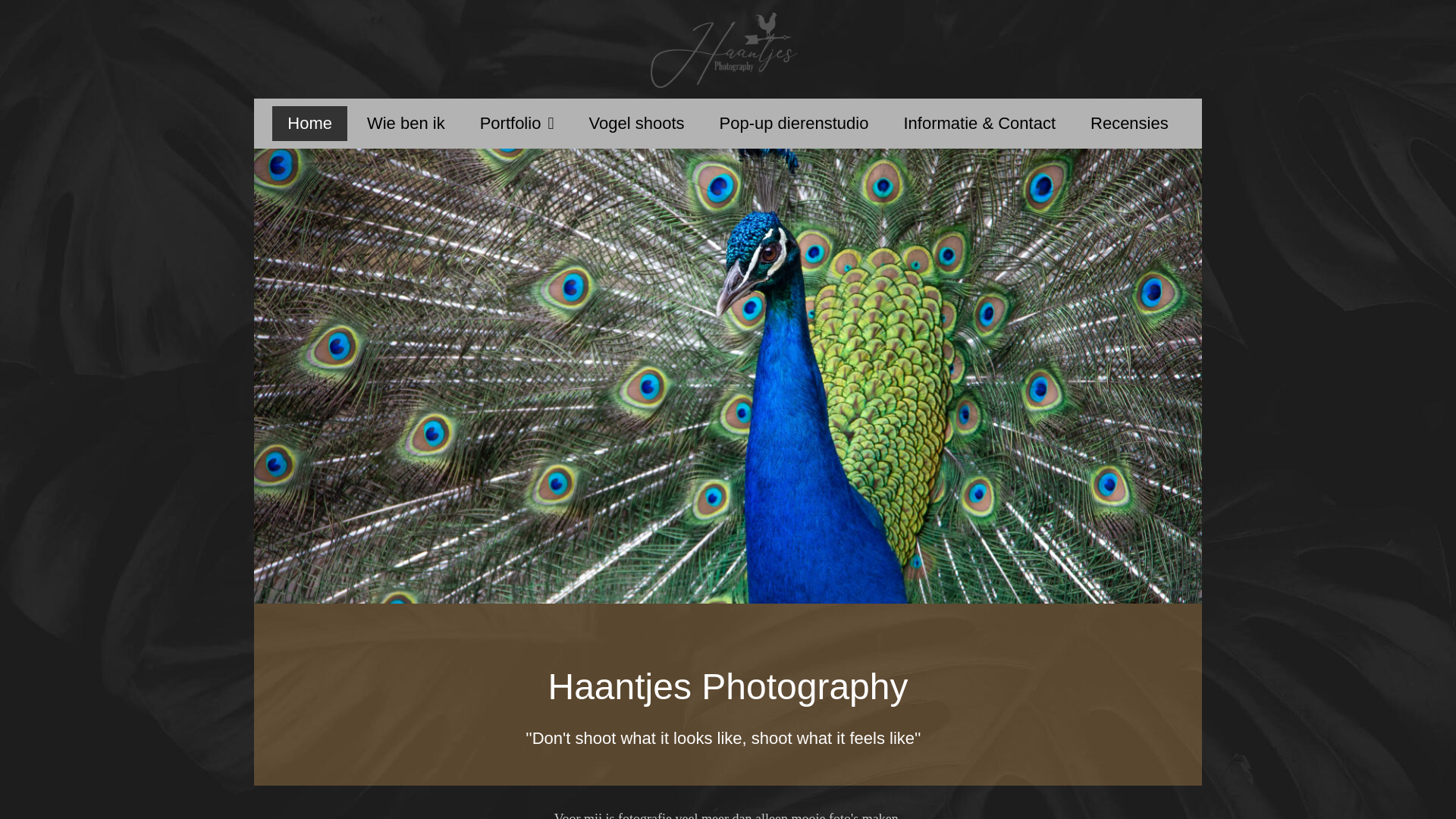 Screenshot of haantjesphotography.nl