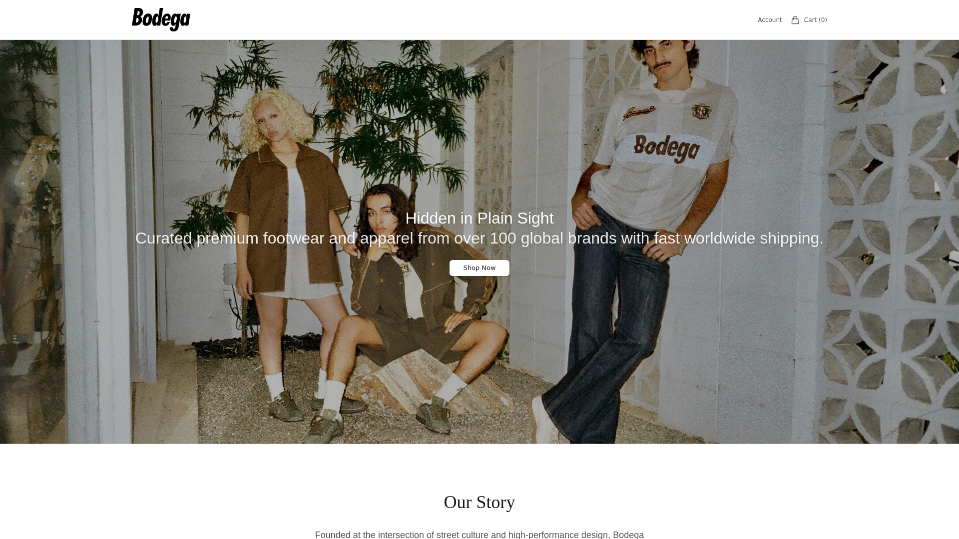 Screenshot of bodegastore.shop