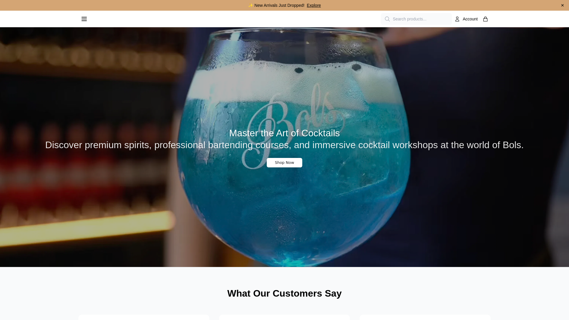 Screenshot of bolsdirect.shop