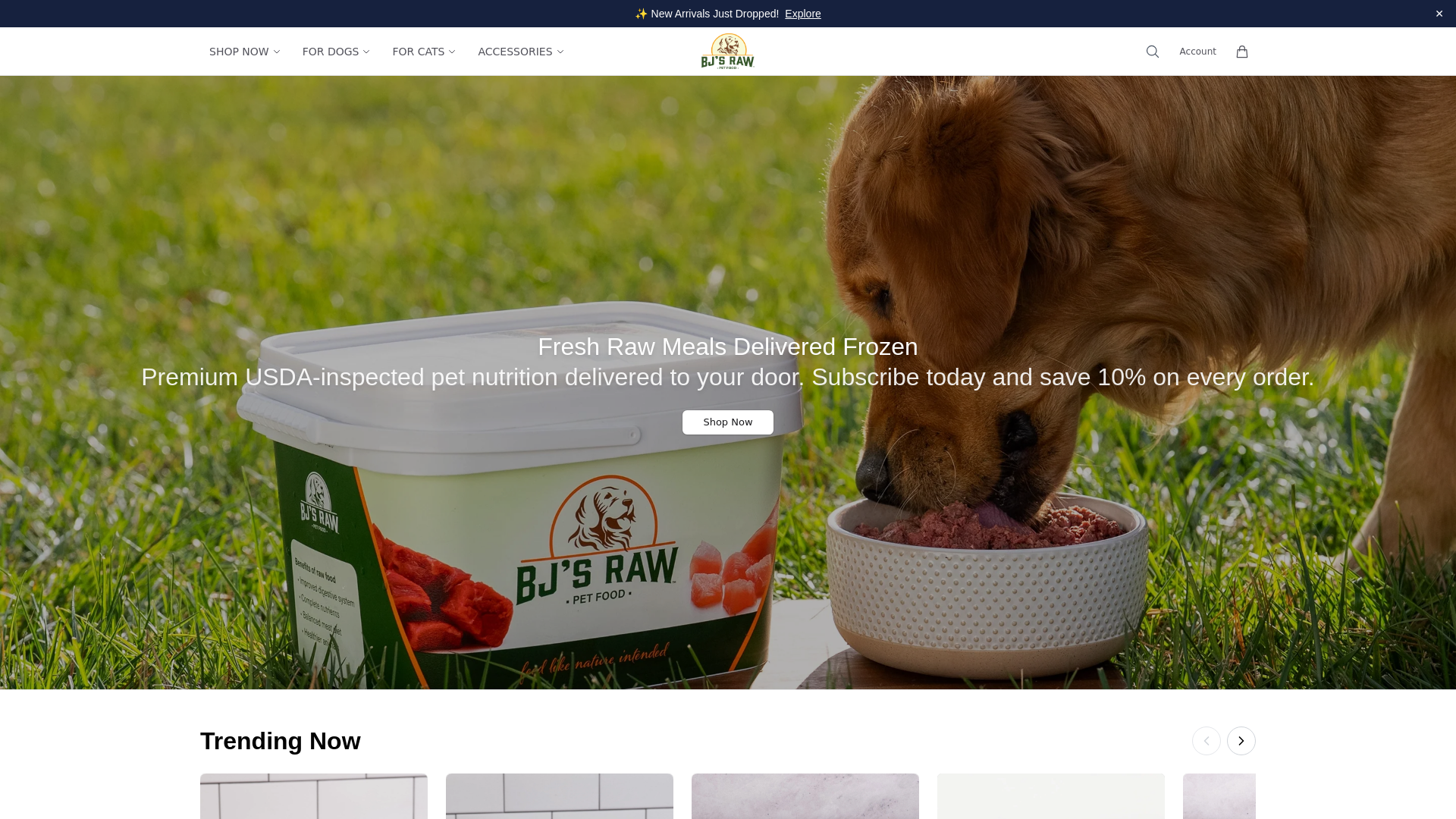 Снимок экрана bjsrawpetfooddirect.shop