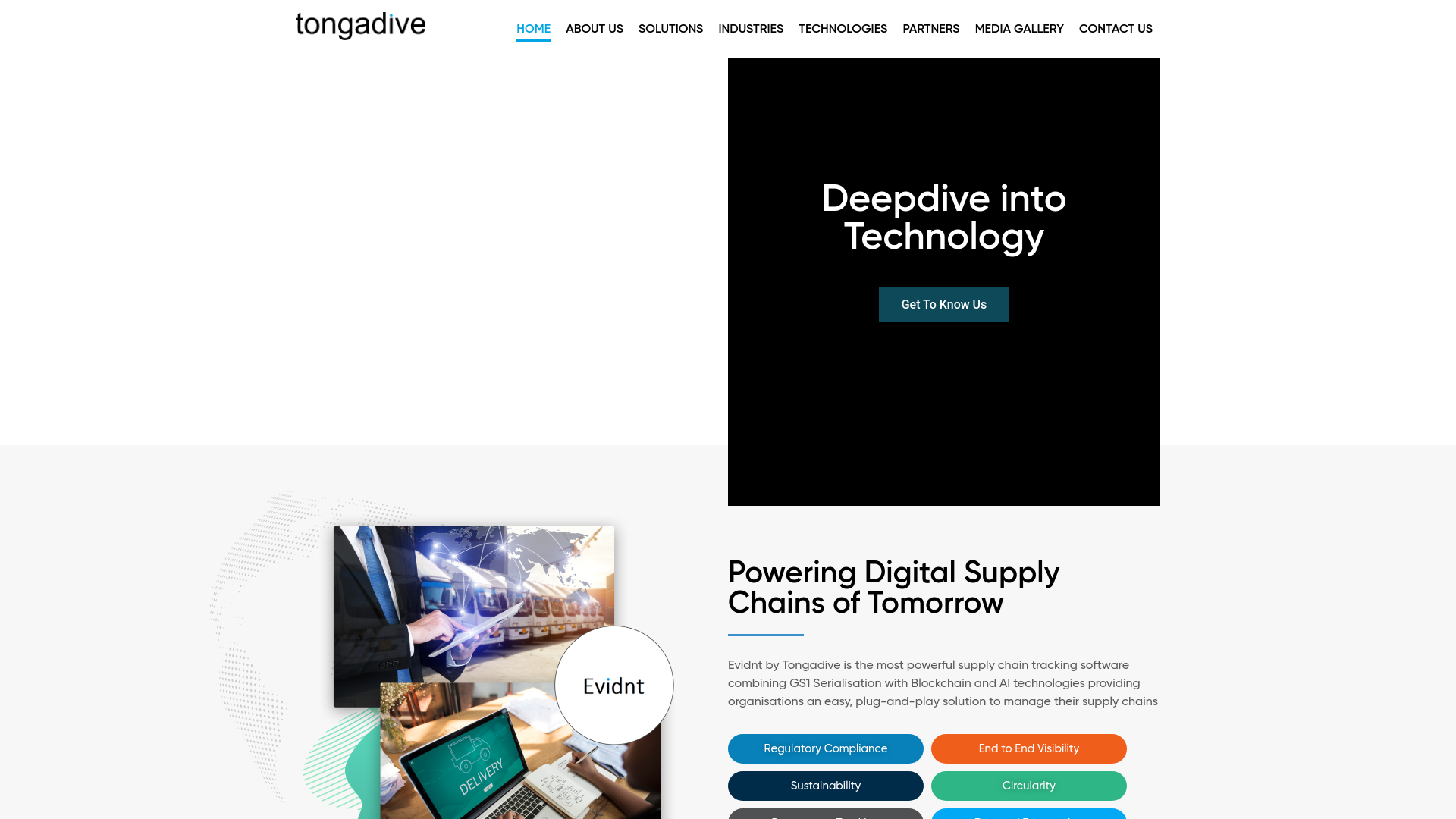 Screenshot of tongadivelive.programmers.us