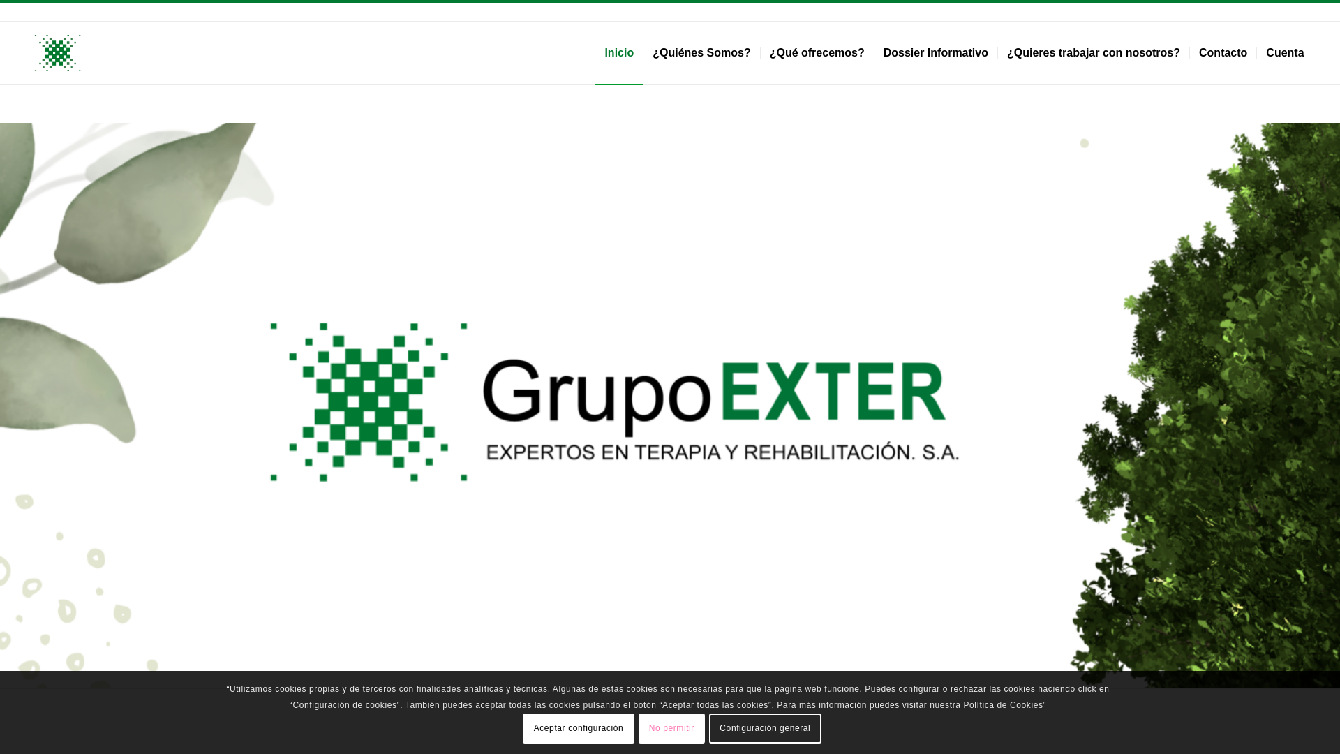 Screenshot of grupoexter.eu