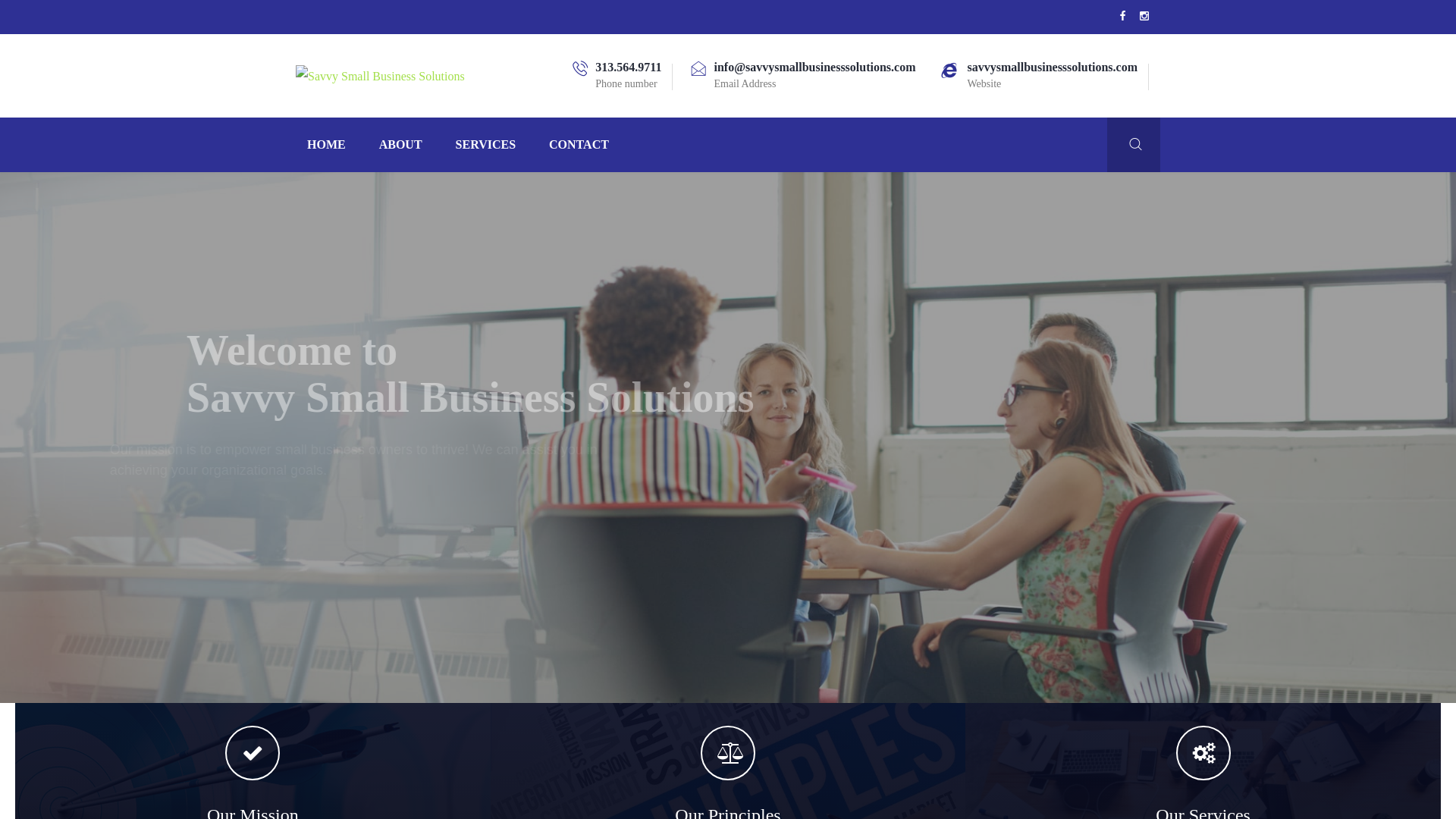 Screenshot of savvysmallbusinesssolutions.com