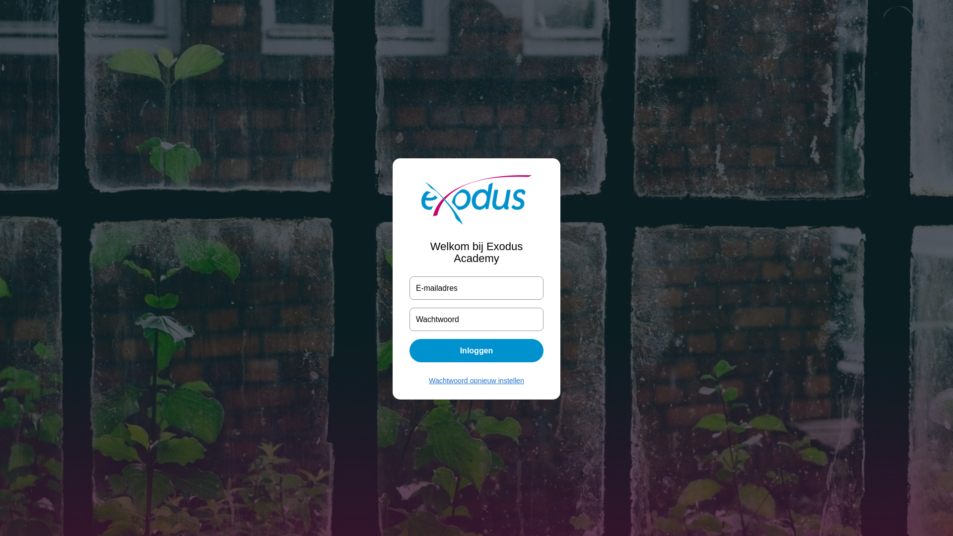 Screenshot of exodusacademy.nl