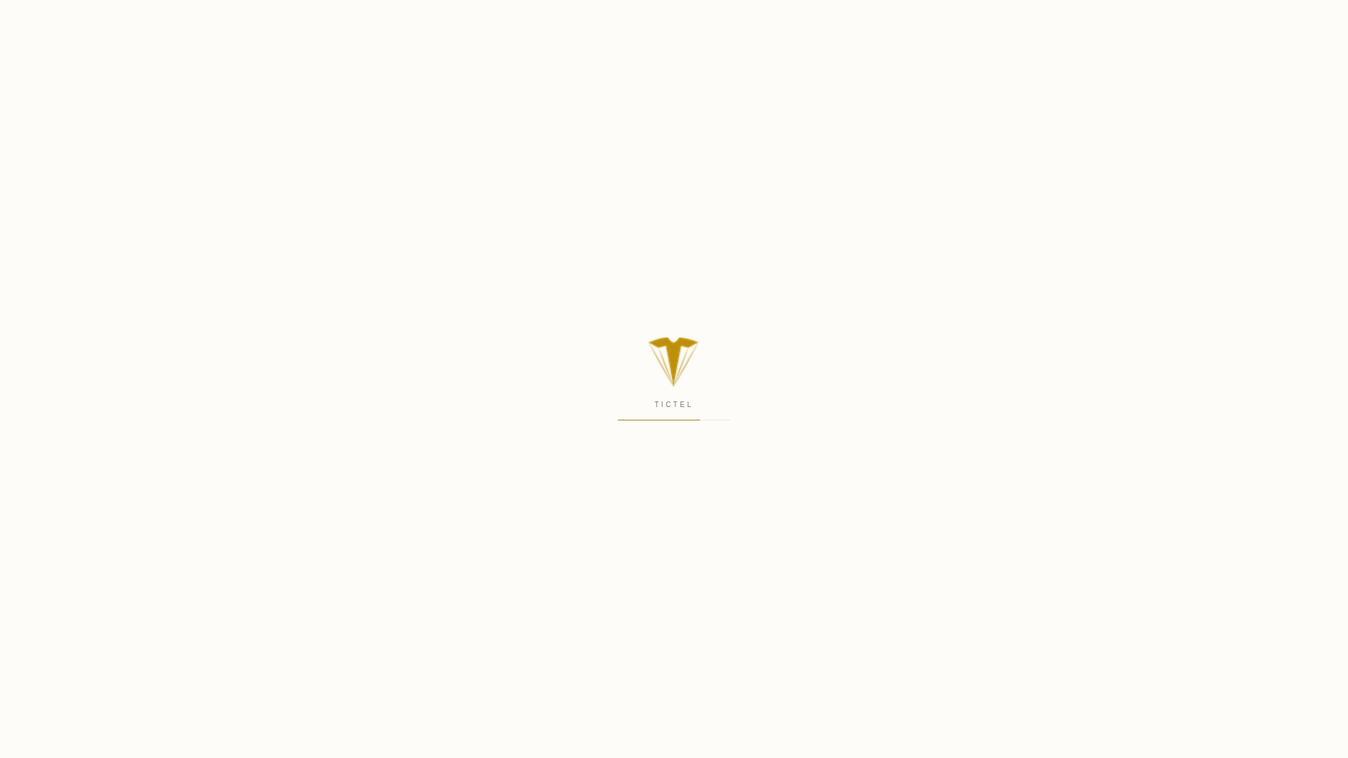 Screenshot of tictel.pt
