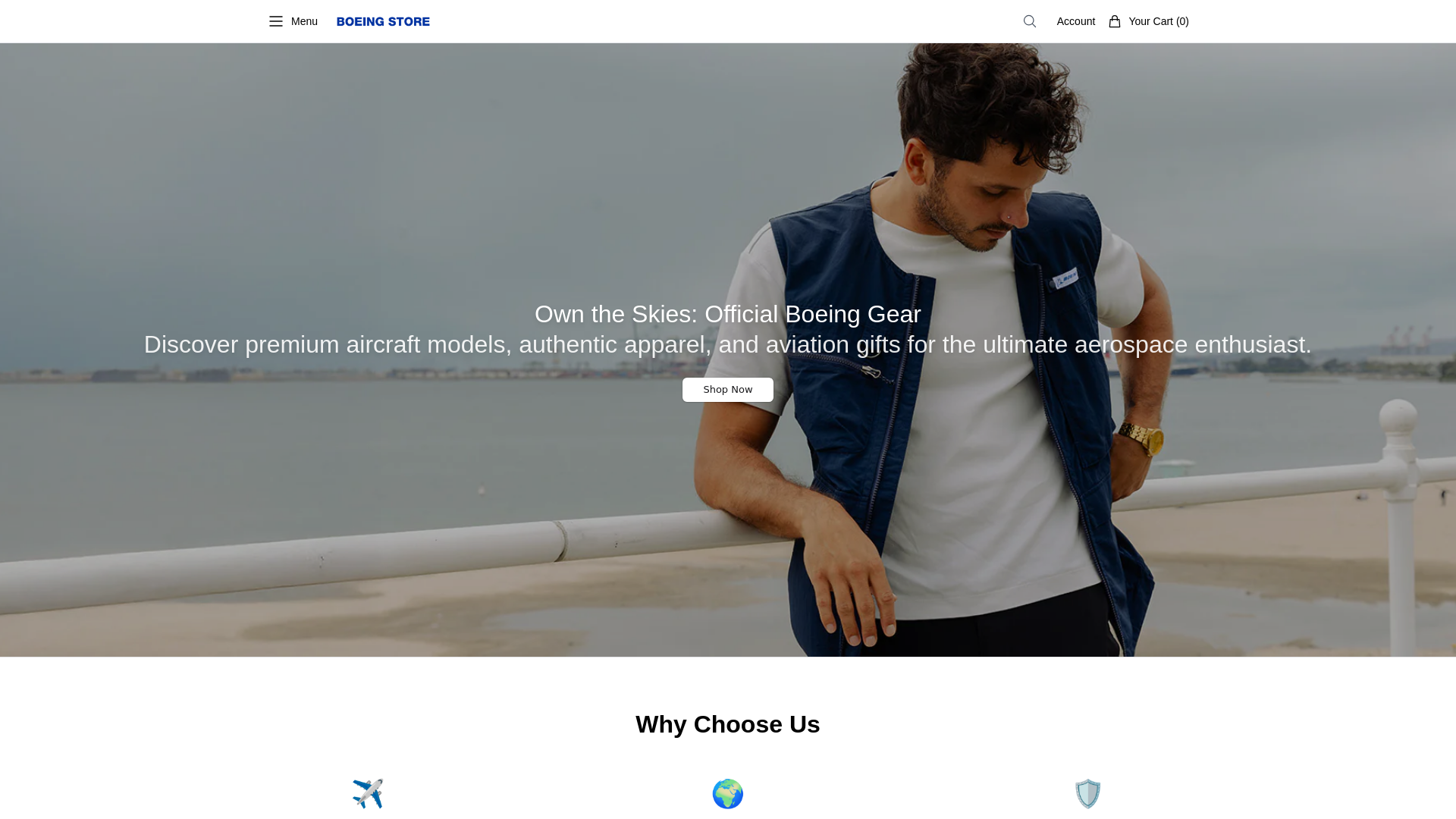 Screenshot of boeingstoremerch.shop