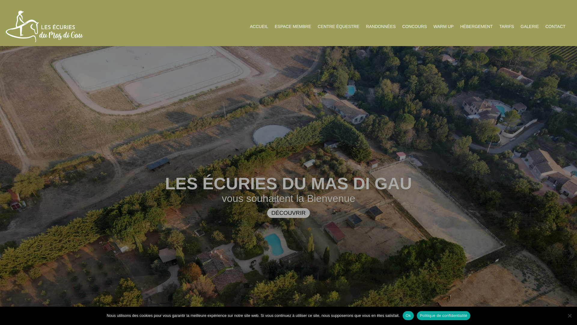 Tangkapan layar lesecuries-du-masdigau.fr