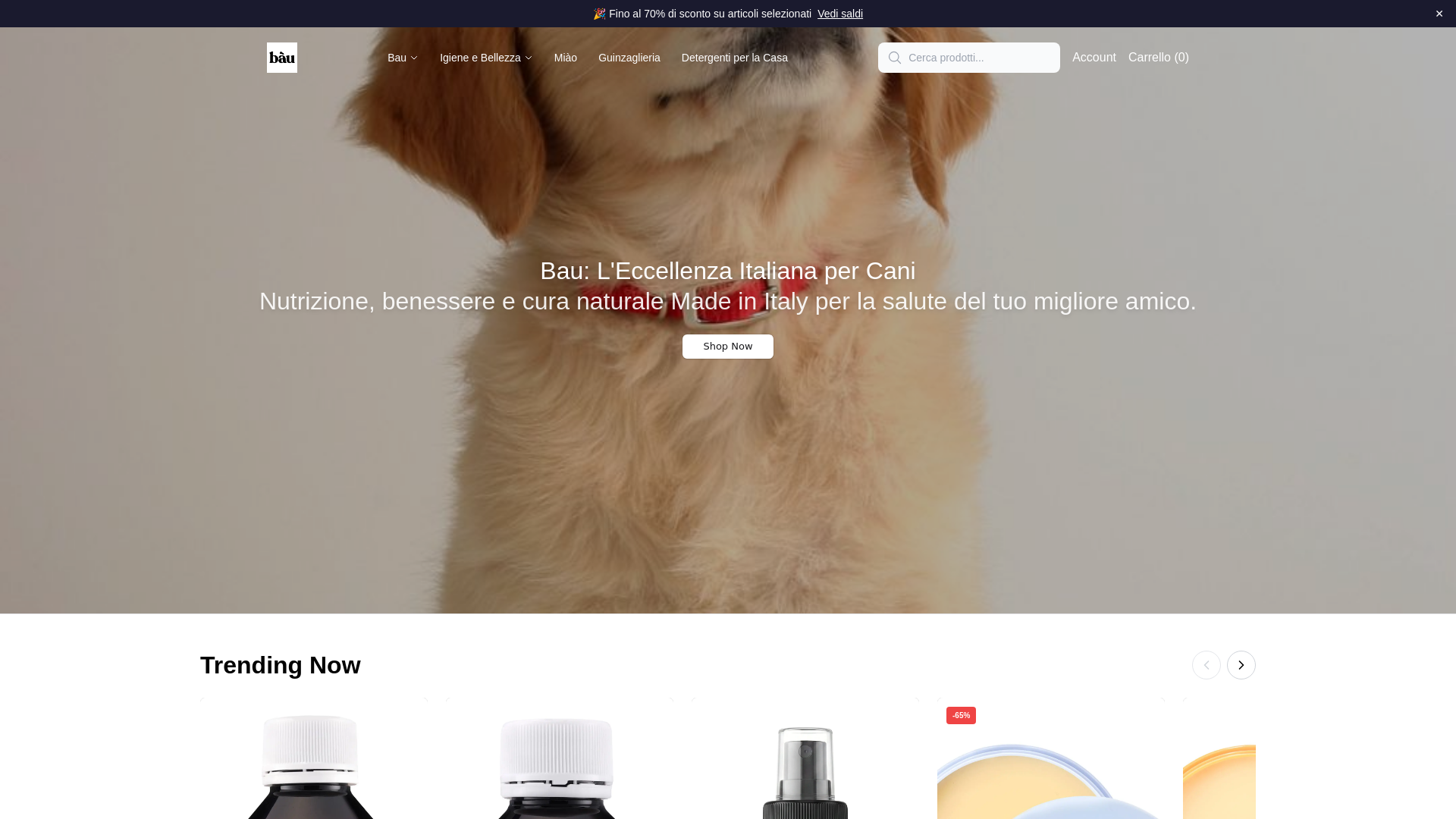 Screenshot of baucosmesihq.shop
