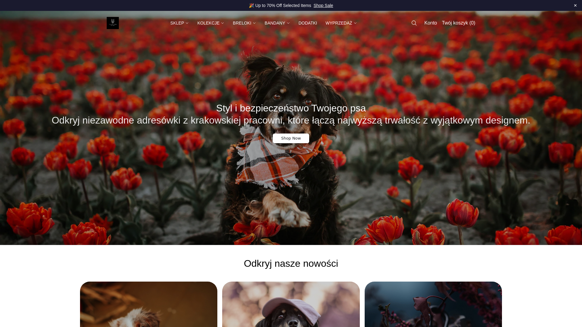 Screenshot of blackdogshopco.shop