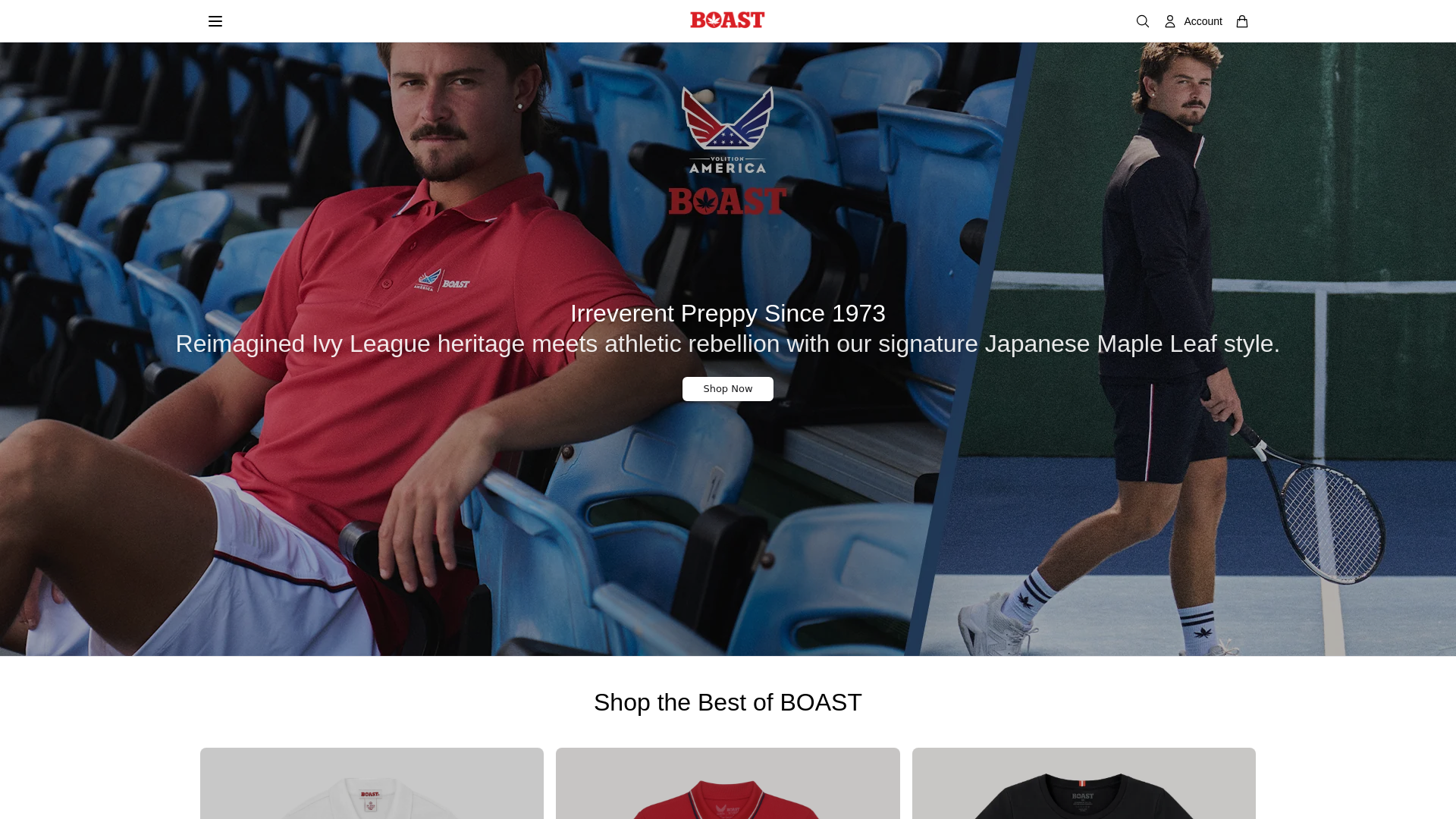 Screenshot of boastco.shop