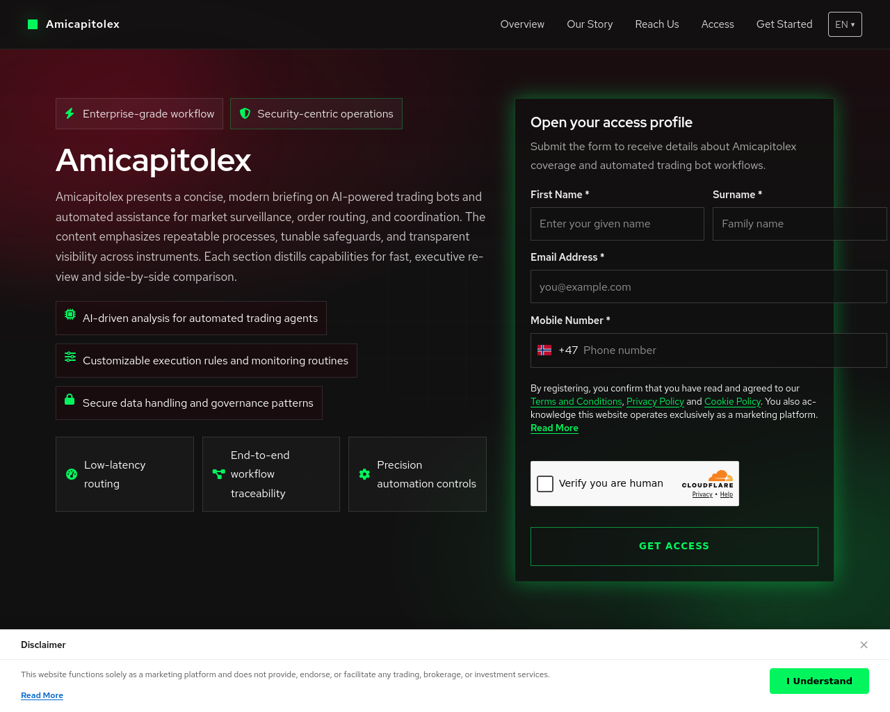Screenshot of amicapitolexsolution.com