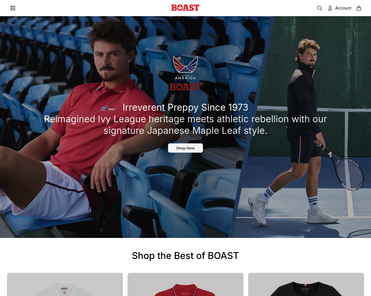 Screenshot of boastco.shop