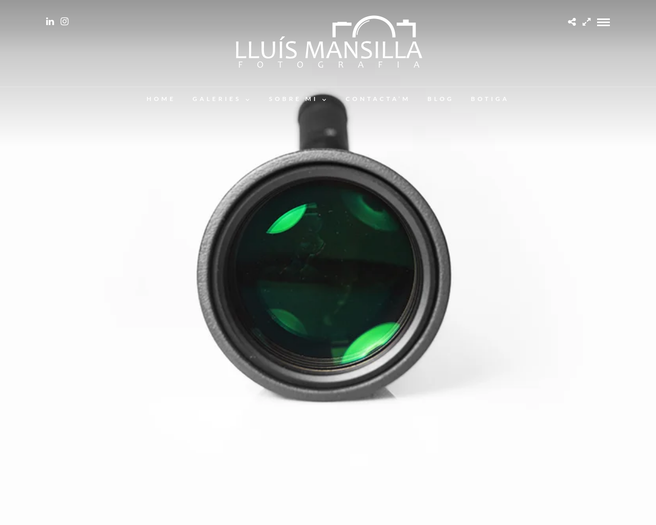 Screenshot of lluismansilla.cat