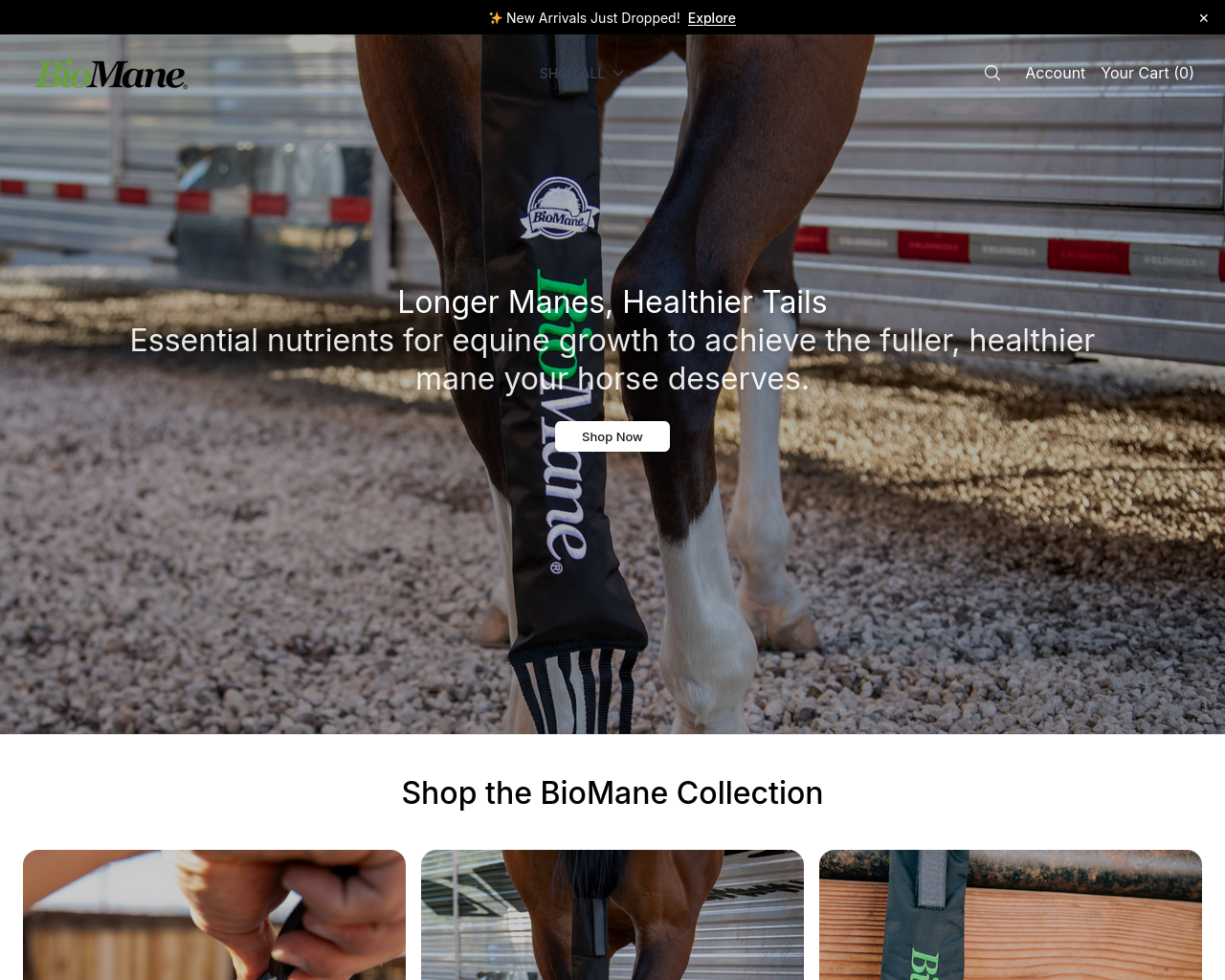 Capture d’écran de bmnaturals.shop