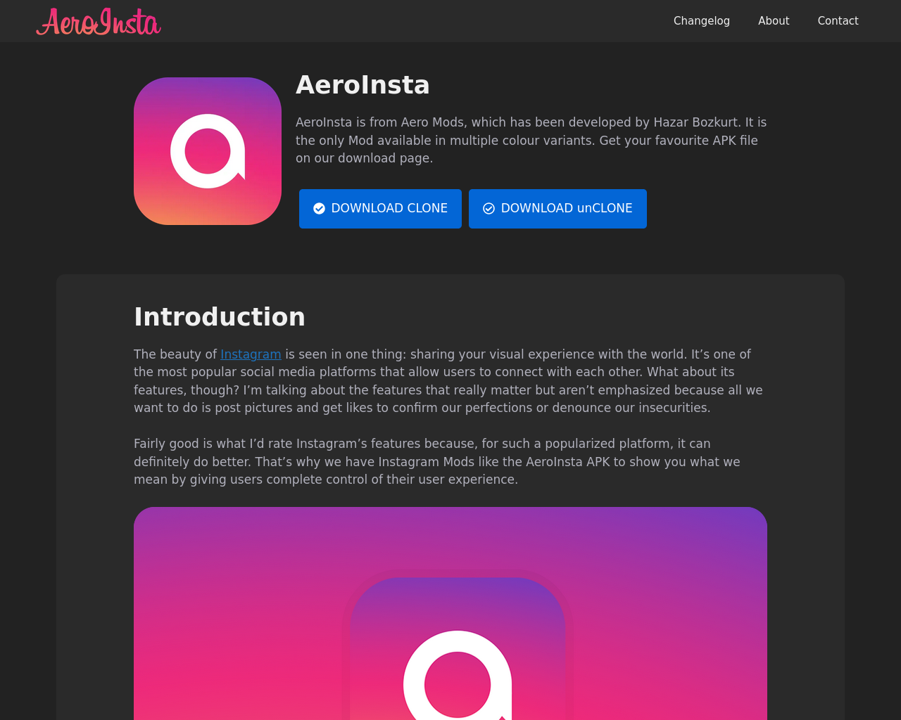 Tangkapan layar aeroinsta.app
