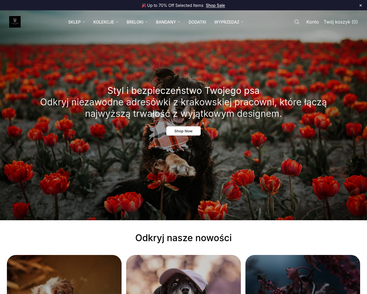 Screenshot of blackdogshopco.shop