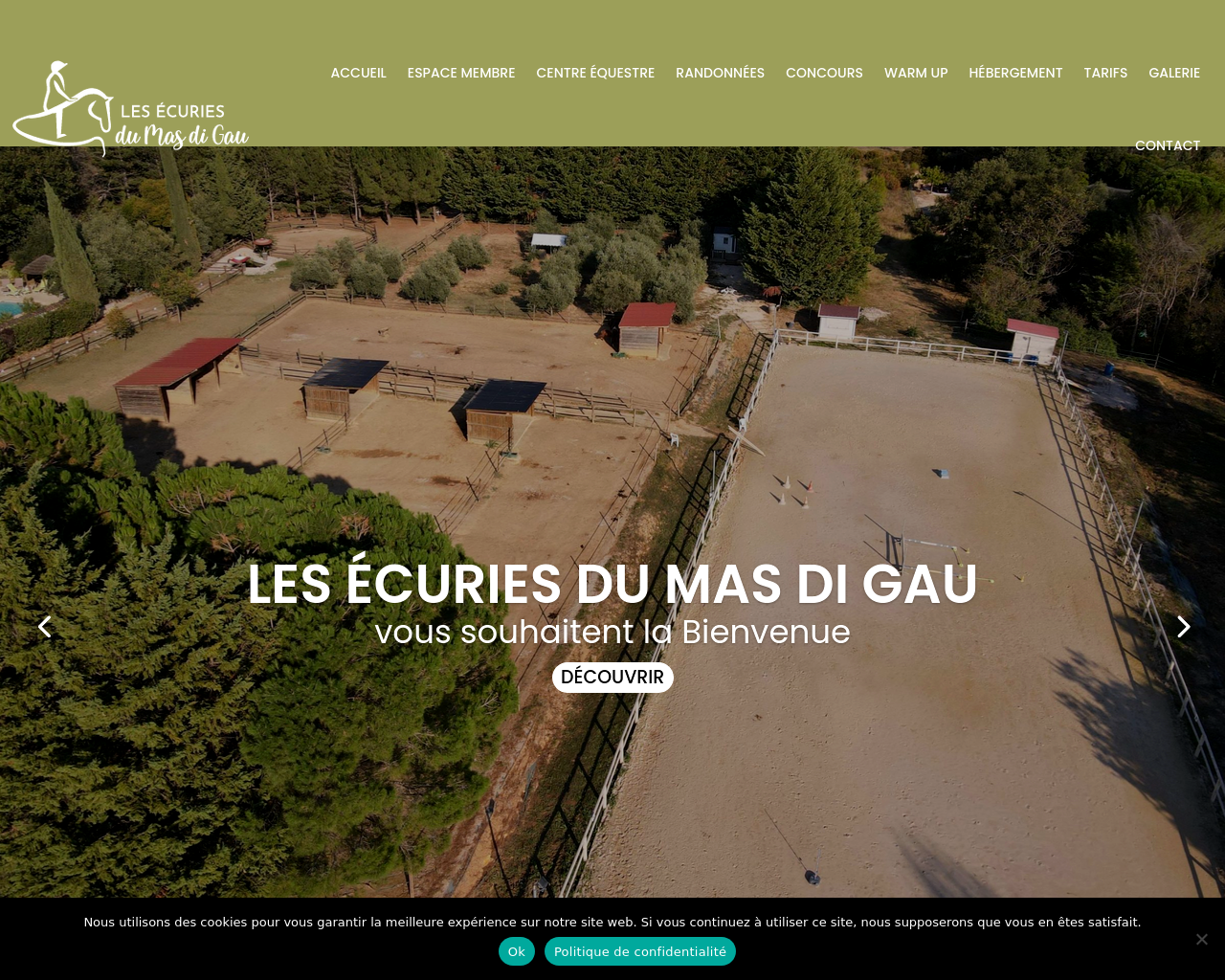 Tangkapan layar lesecuries-du-masdigau.fr