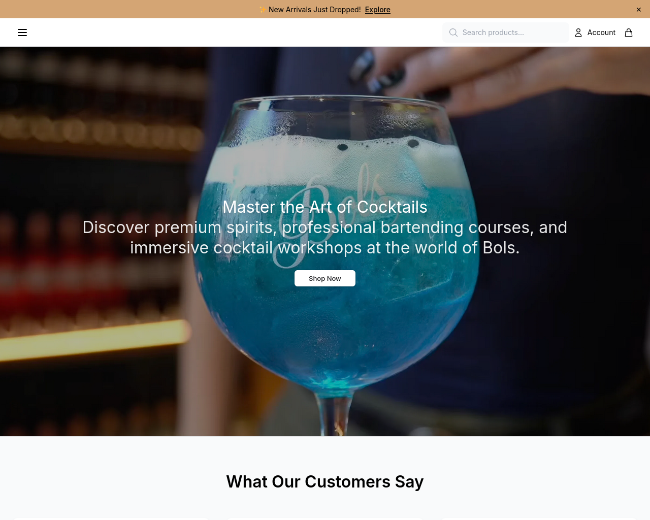Screenshot of bolsdirect.shop