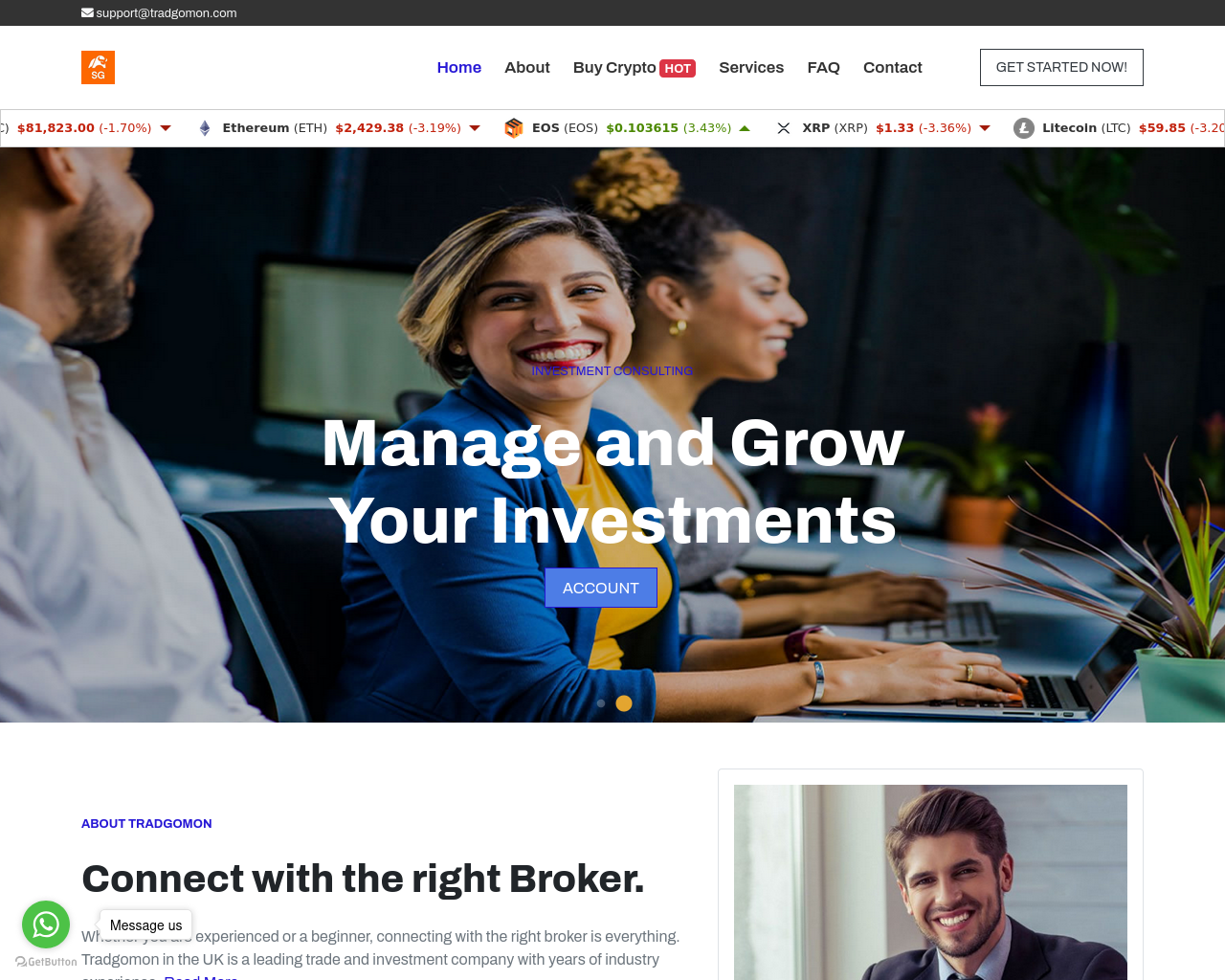 Screenshot of tradgomon.com