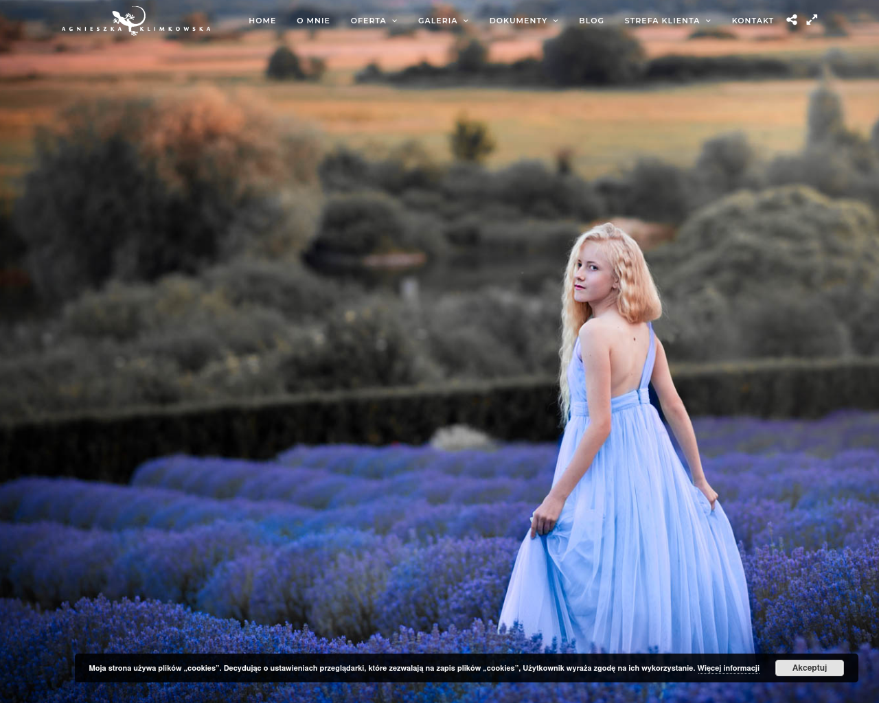 Screenshot of agnieszkaklimkowska.live