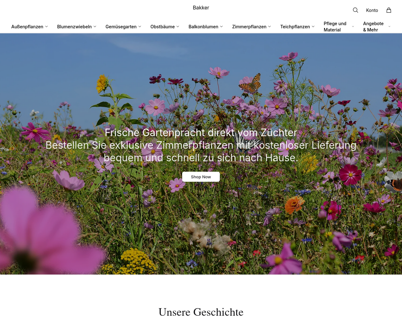 Screenshot of bkker.shop