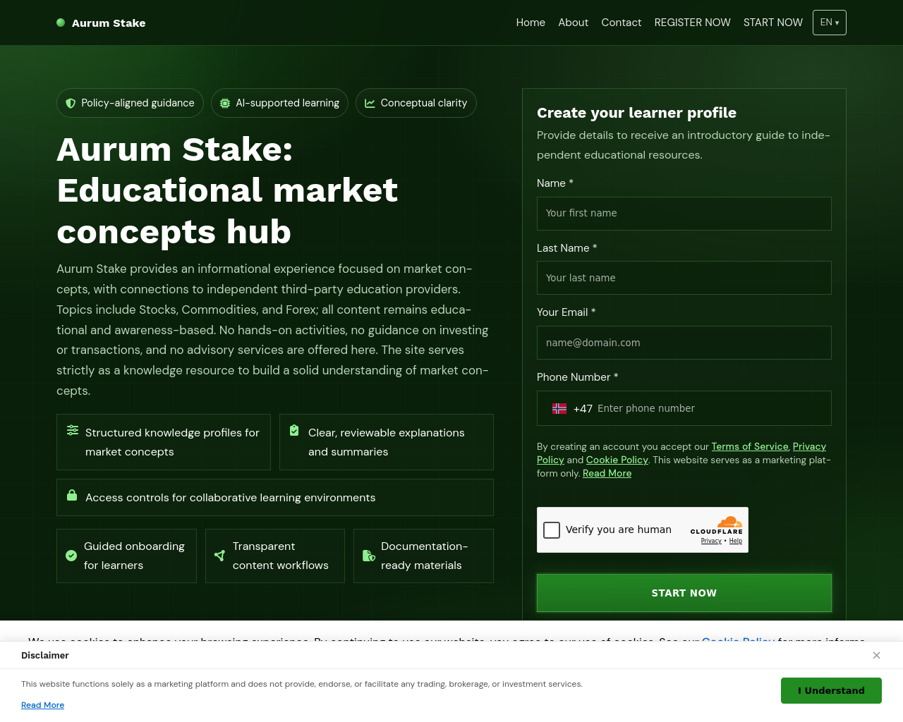 Screenshot of aurumstake-software.com