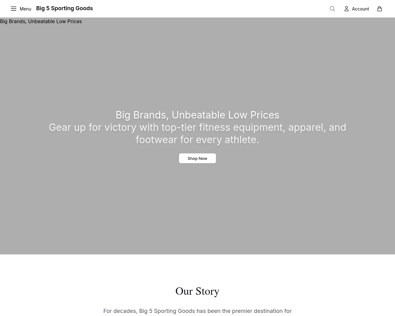 Screenshot of big5sportlife.com