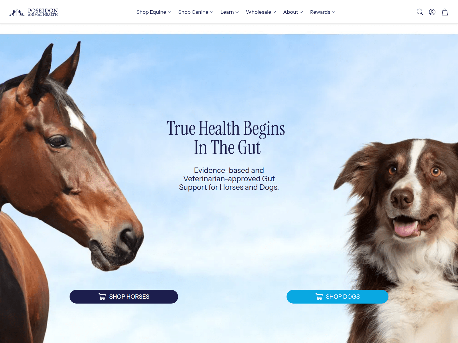 Screenshot of poseidonanimalhealth.com.au