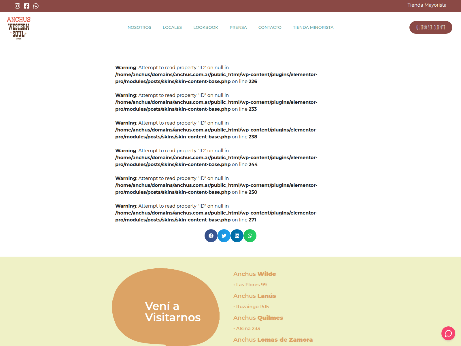 Screenshot of anchus.com.ar