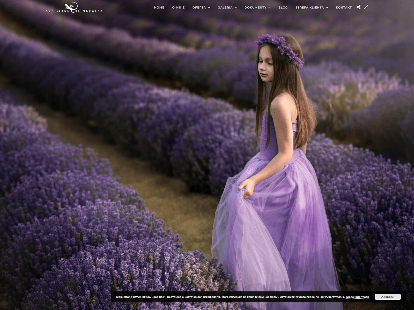 Screenshot of agnieszkaklimkowska.live