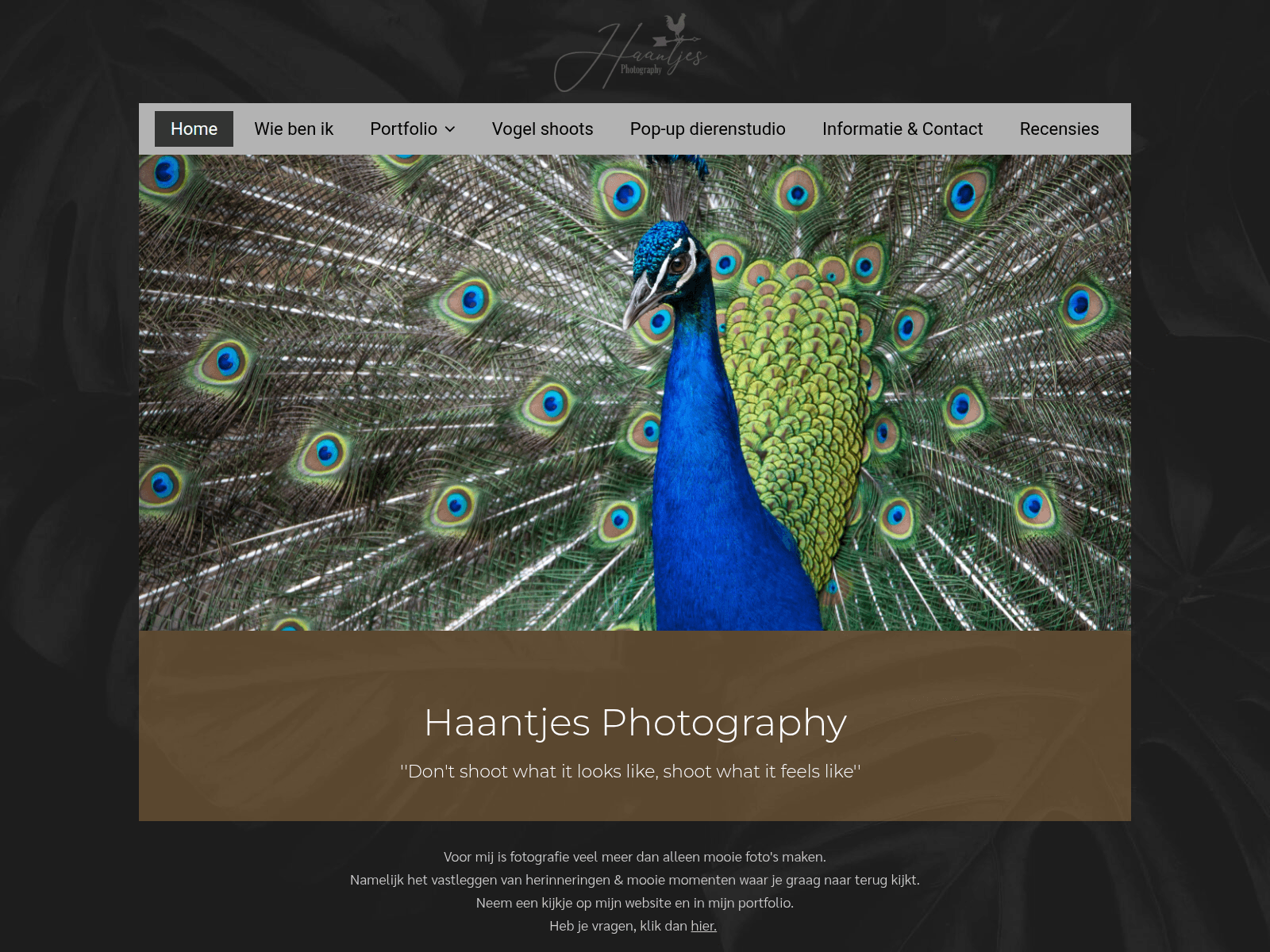 Screenshot of haantjesphotography.nl