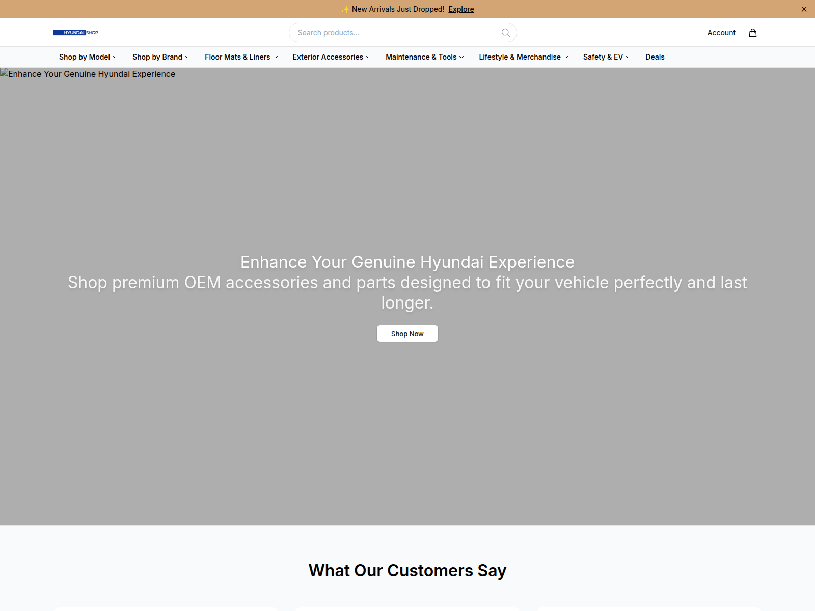 Screenshot of ashleystewartcloset.com