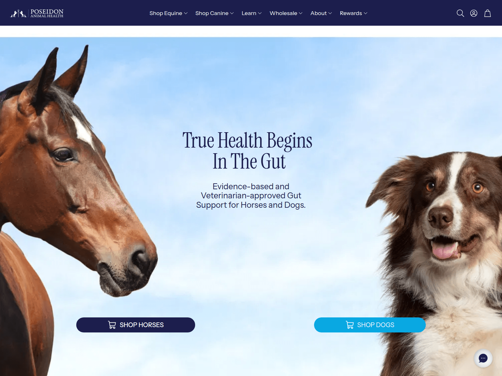 Screenshot of poseidonanimalhealth.com.au