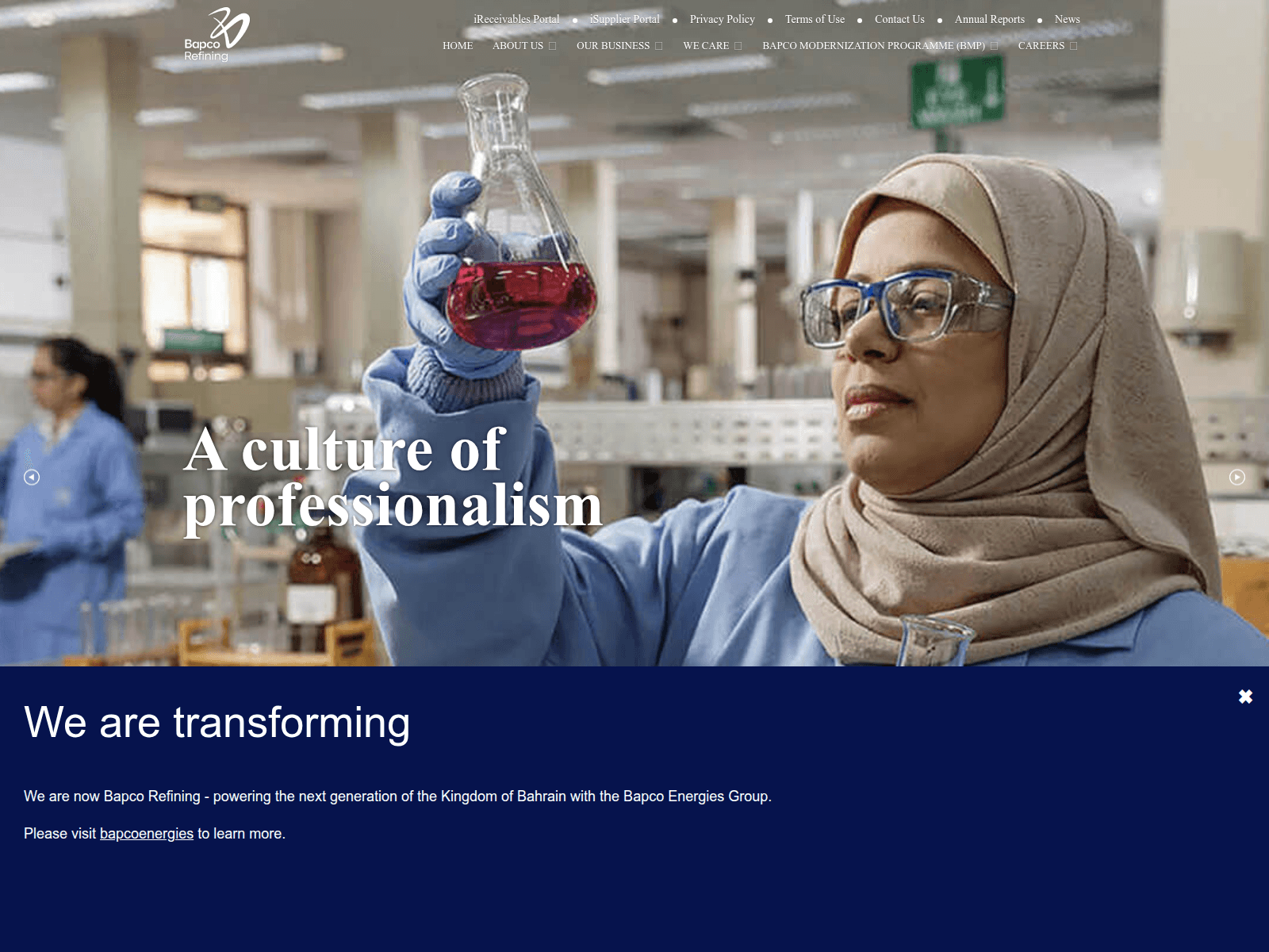 Screenshot of bapcoemegies.com