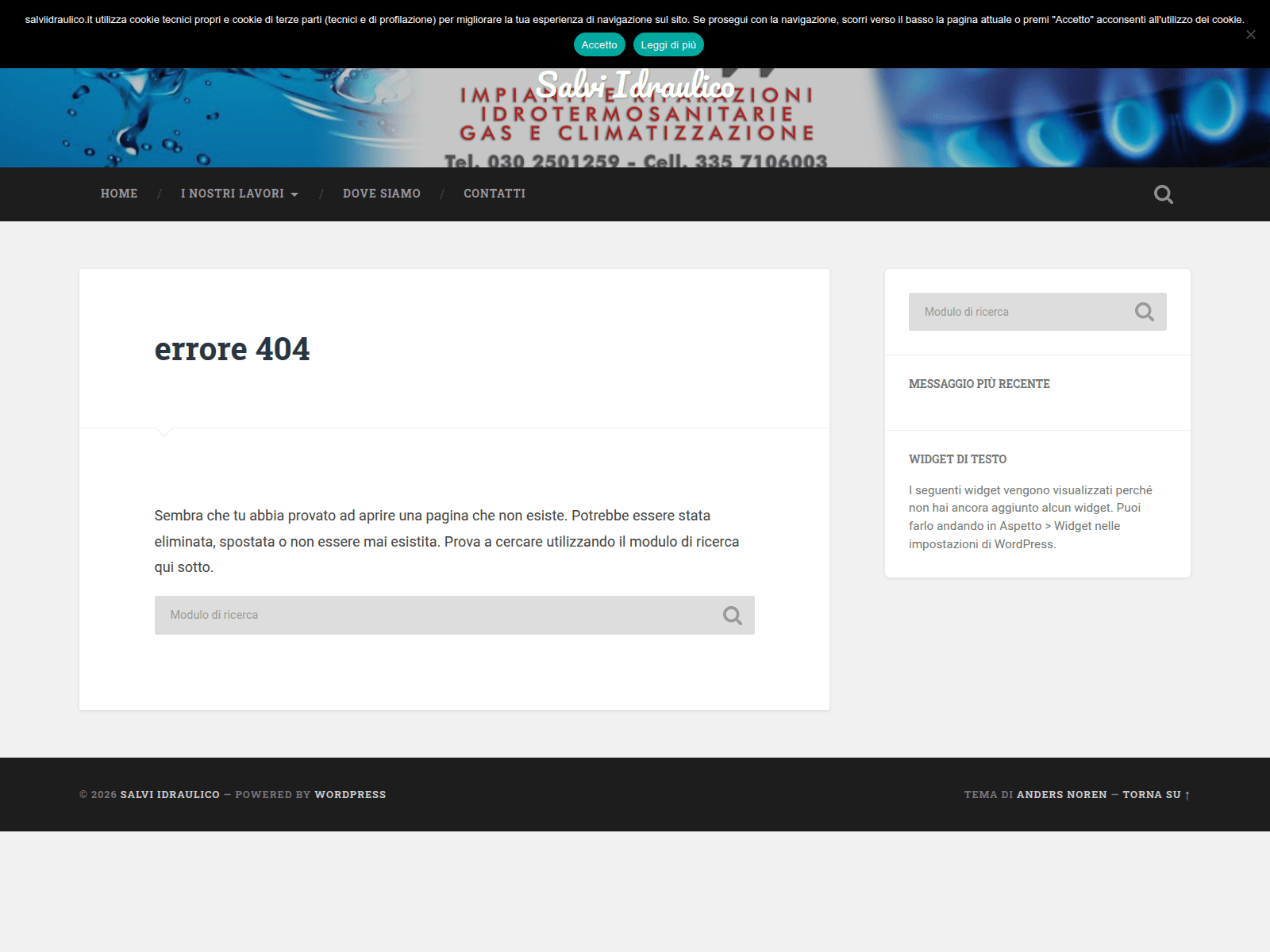 Screenshot of salviidraulico.it