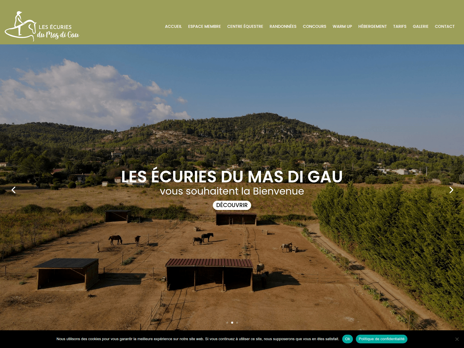 Tangkapan layar lesecuries-du-masdigau.fr